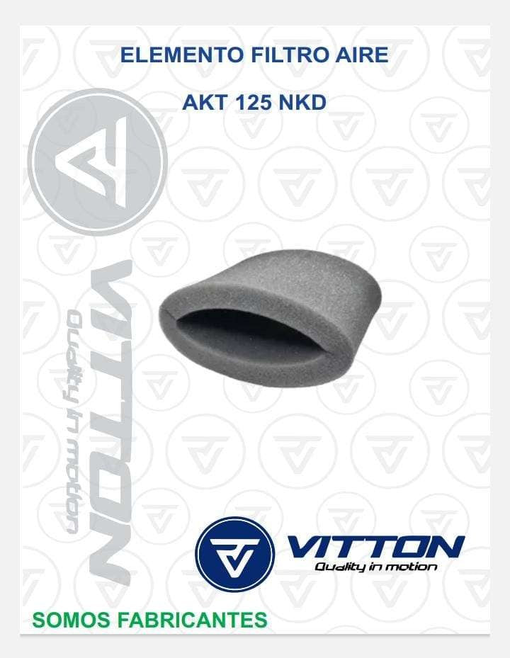 ELEMENTO FILTRO AIRE - Filtro Centrifugo AKT 125 Aramida
